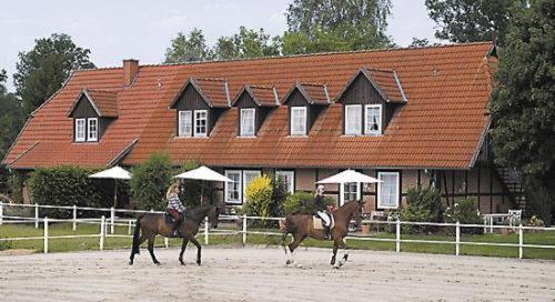 Heidehotel Gut Landliebe Hermannsburg Esterno foto